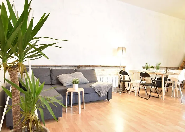 Big Place In Center With Parking Appartement *