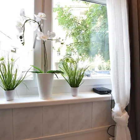 Big Place In Center With Parking